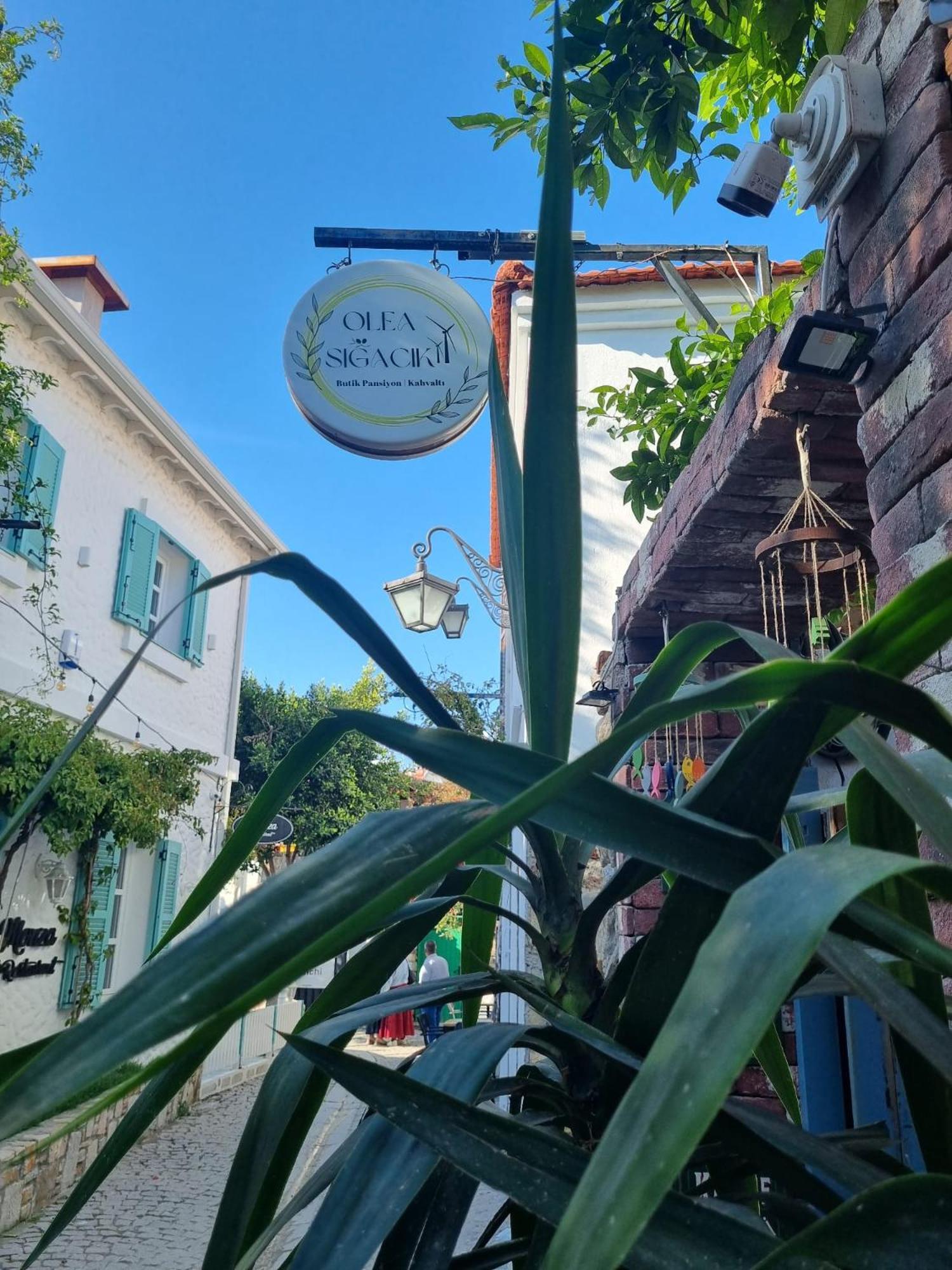 ספריהיסאר Olea Sigacik Pansiyon & Bistro מראה חיצוני תמונה