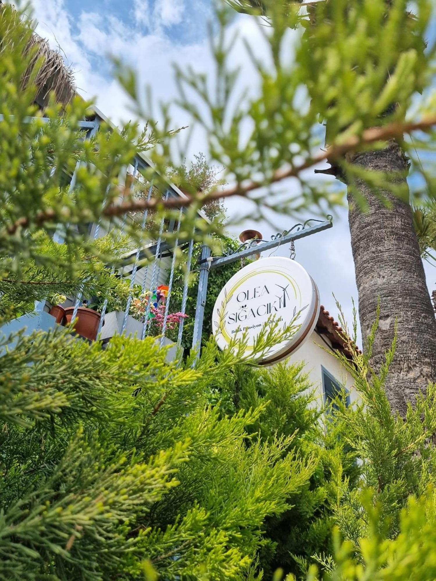 ספריהיסאר Olea Sigacik Pansiyon & Bistro מראה חיצוני תמונה